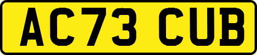 AC73CUB