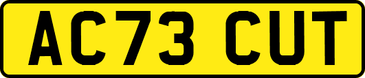 AC73CUT