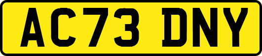 AC73DNY