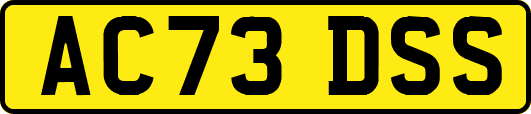 AC73DSS