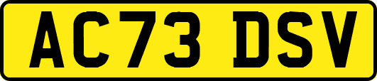 AC73DSV