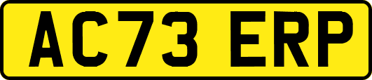 AC73ERP