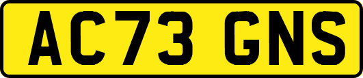 AC73GNS