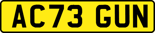 AC73GUN