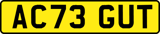 AC73GUT