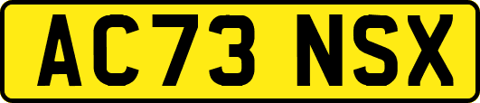AC73NSX
