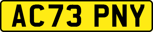 AC73PNY