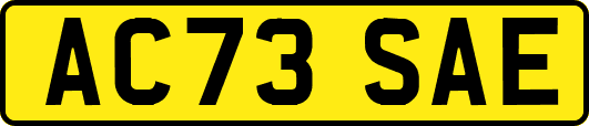 AC73SAE