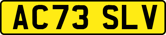 AC73SLV