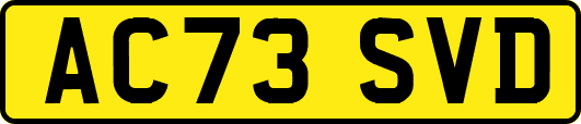 AC73SVD
