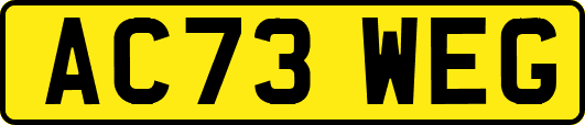 AC73WEG