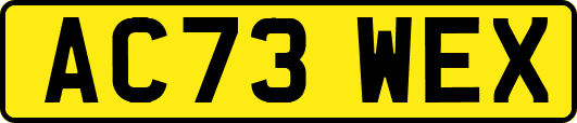 AC73WEX