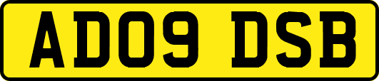 AD09DSB