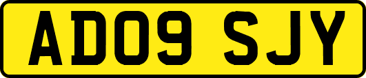 AD09SJY