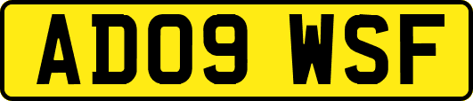 AD09WSF
