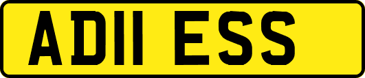 AD11ESS