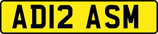 AD12ASM