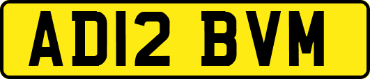 AD12BVM