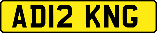 AD12KNG