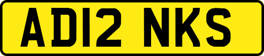 AD12NKS