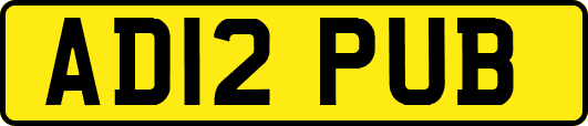 AD12PUB