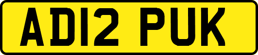 AD12PUK