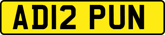AD12PUN