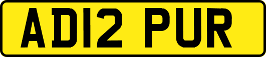 AD12PUR