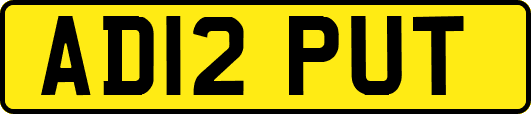 AD12PUT