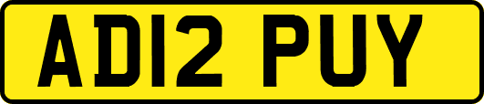 AD12PUY