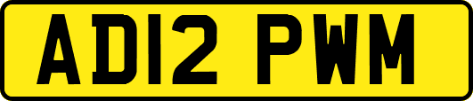 AD12PWM