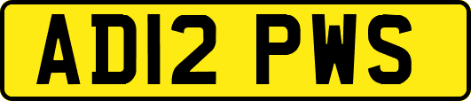 AD12PWS