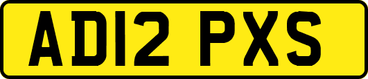 AD12PXS