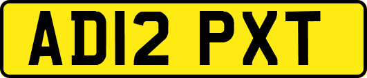 AD12PXT
