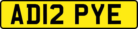 AD12PYE