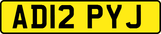 AD12PYJ