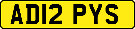 AD12PYS