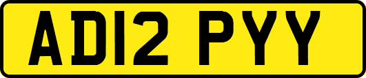 AD12PYY