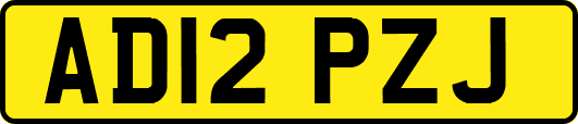 AD12PZJ