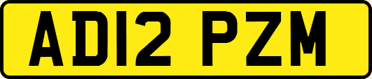 AD12PZM