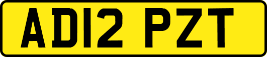 AD12PZT