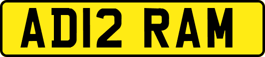 AD12RAM