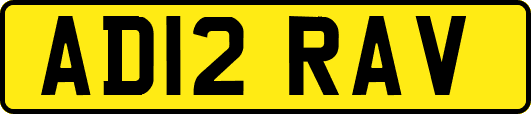 AD12RAV