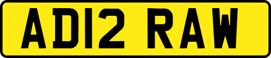 AD12RAW