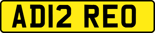 AD12REO