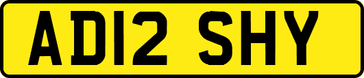 AD12SHY
