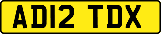 AD12TDX