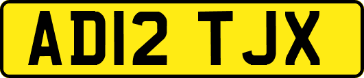 AD12TJX