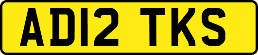 AD12TKS