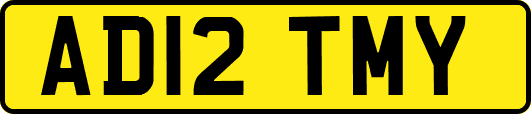 AD12TMY